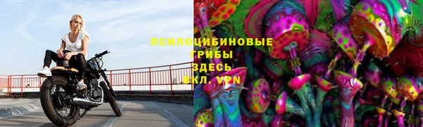 тгк Абинск