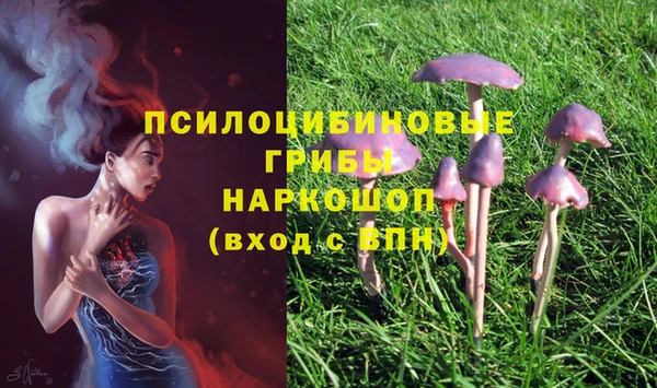 тгк Абинск