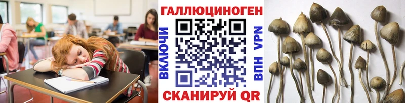 где можно купить наркотик Азов ссылка на мегу рабочий сайт Псилоцибиновые грибы мухоморы