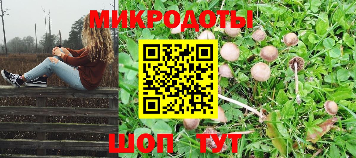 Азов  Псилоцибиновые грибы GOLDEN TEACHER  Вход с VPN  Галлюциногенные грибы GOLDEN TEACHER 