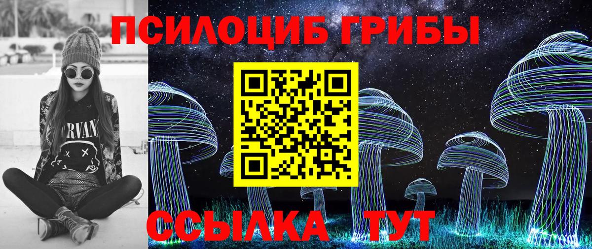 Псилоцибиновые грибы мицелий Азов
